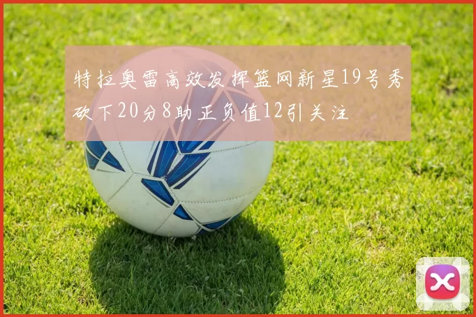特拉奥雷高效发挥篮网新星19号秀砍下20分8助正负值12引关注