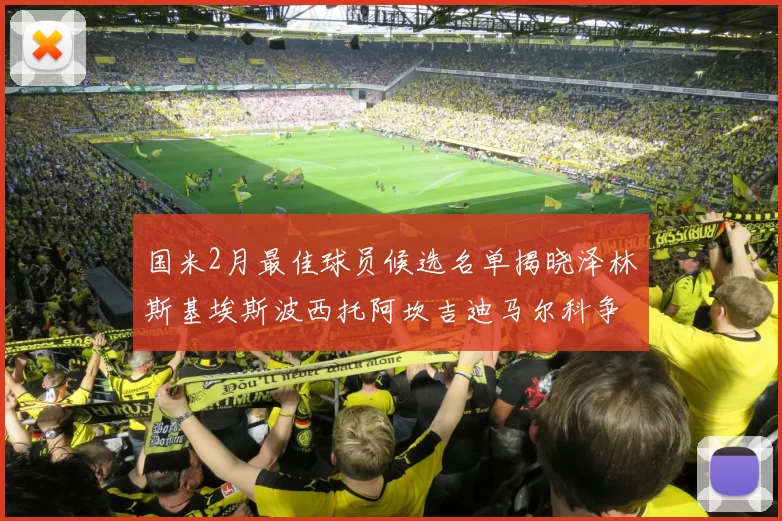 国米2月最佳球员候选名单揭晓泽林斯基埃斯波西托阿坎吉迪马尔科争夺荣誉