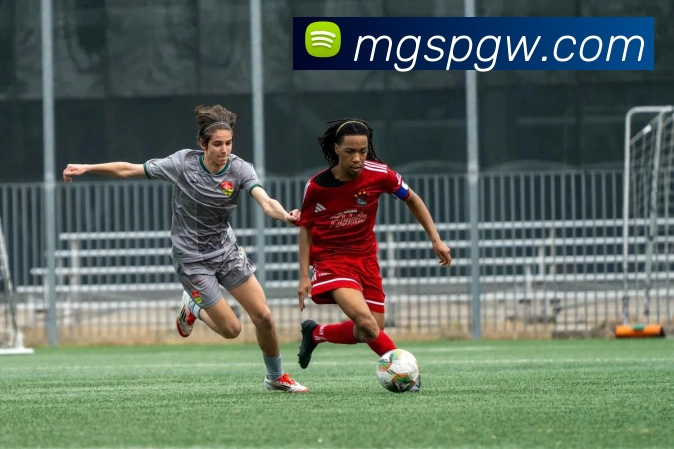 App Interface Preview