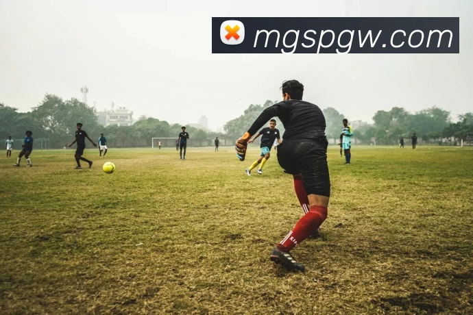 芒果体育官网APP 封面图