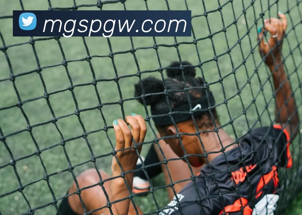 数据防护可视化